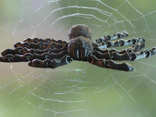 Large Articulated Tarantula